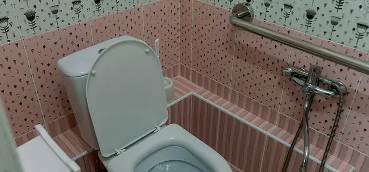 Meeting Diverse Needs With Accessible Restroom Solutions in Rosemount, MN