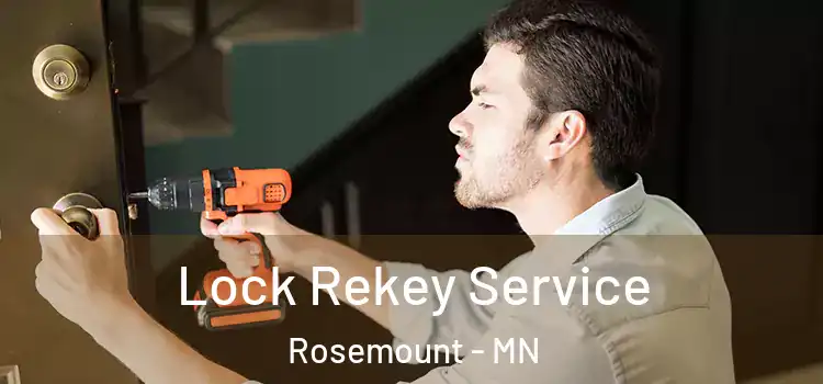 Lock Rekey Service Rosemount - MN